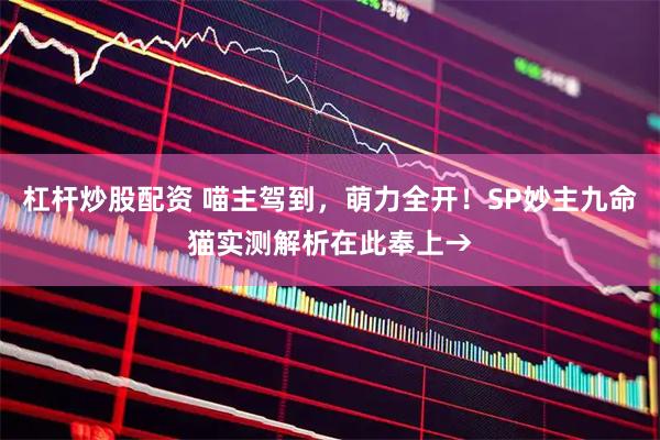 杠杆炒股配资 喵主驾到，萌力全开！SP妙主九命猫实测解析在此奉上→