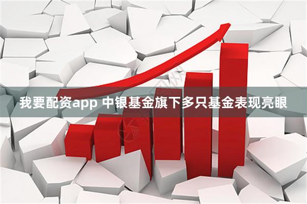 我要配资app 中银基金旗下多只基金表现亮眼
